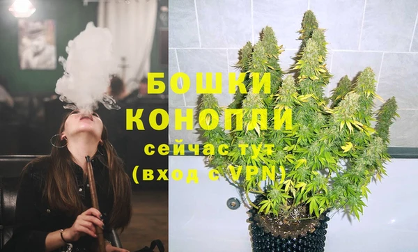 бошки Билибино